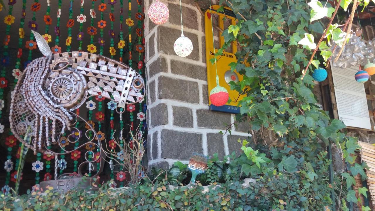 Apartament Criatividade Na Serra Petrópolis Zewnętrze zdjęcie