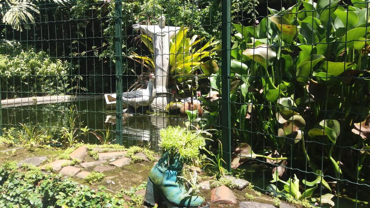 Apartament Criatividade Na Serra Petrópolis Zewnętrze zdjęcie